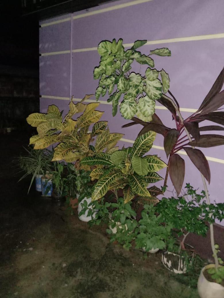 Vian Homestay Honavar Exterior foto